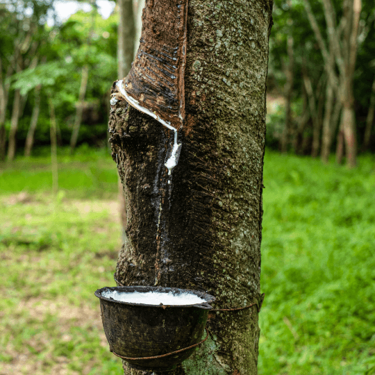 Spine Guard 100% Pure Natural Latex